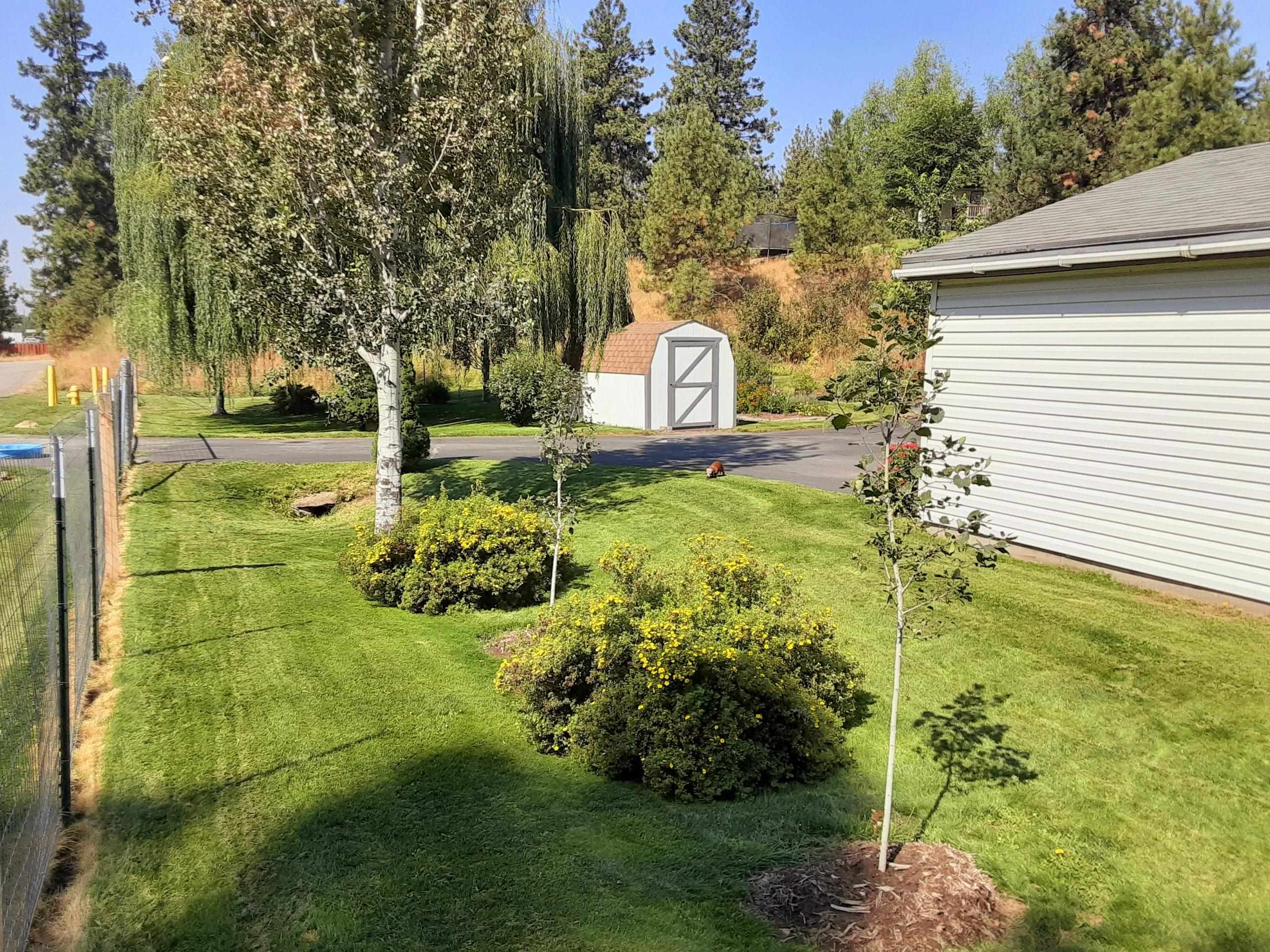 4325 E Jean Ave - Photo 42