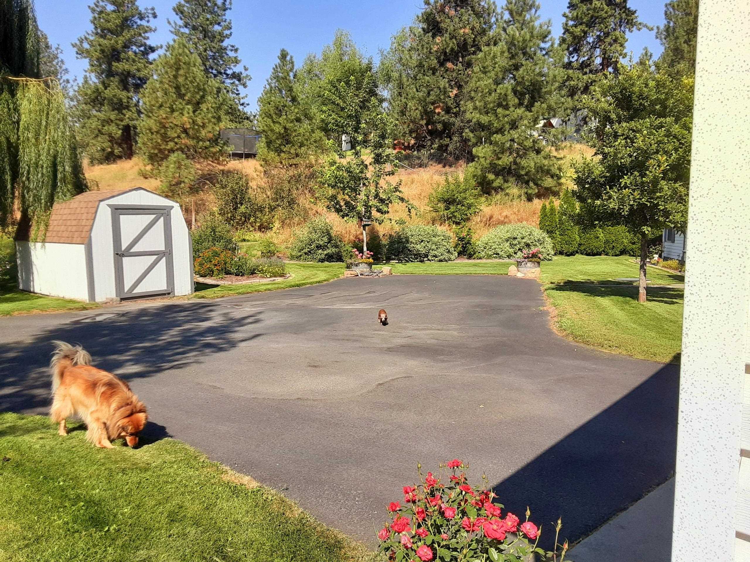 4325 E Jean Ave - Photo 43