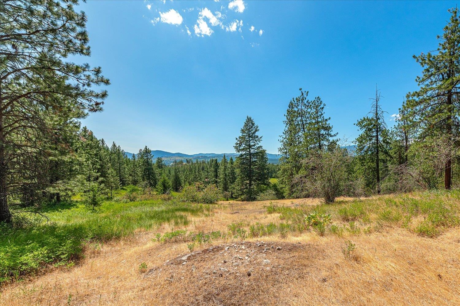 786X Arden Butte Rd - Photo 12