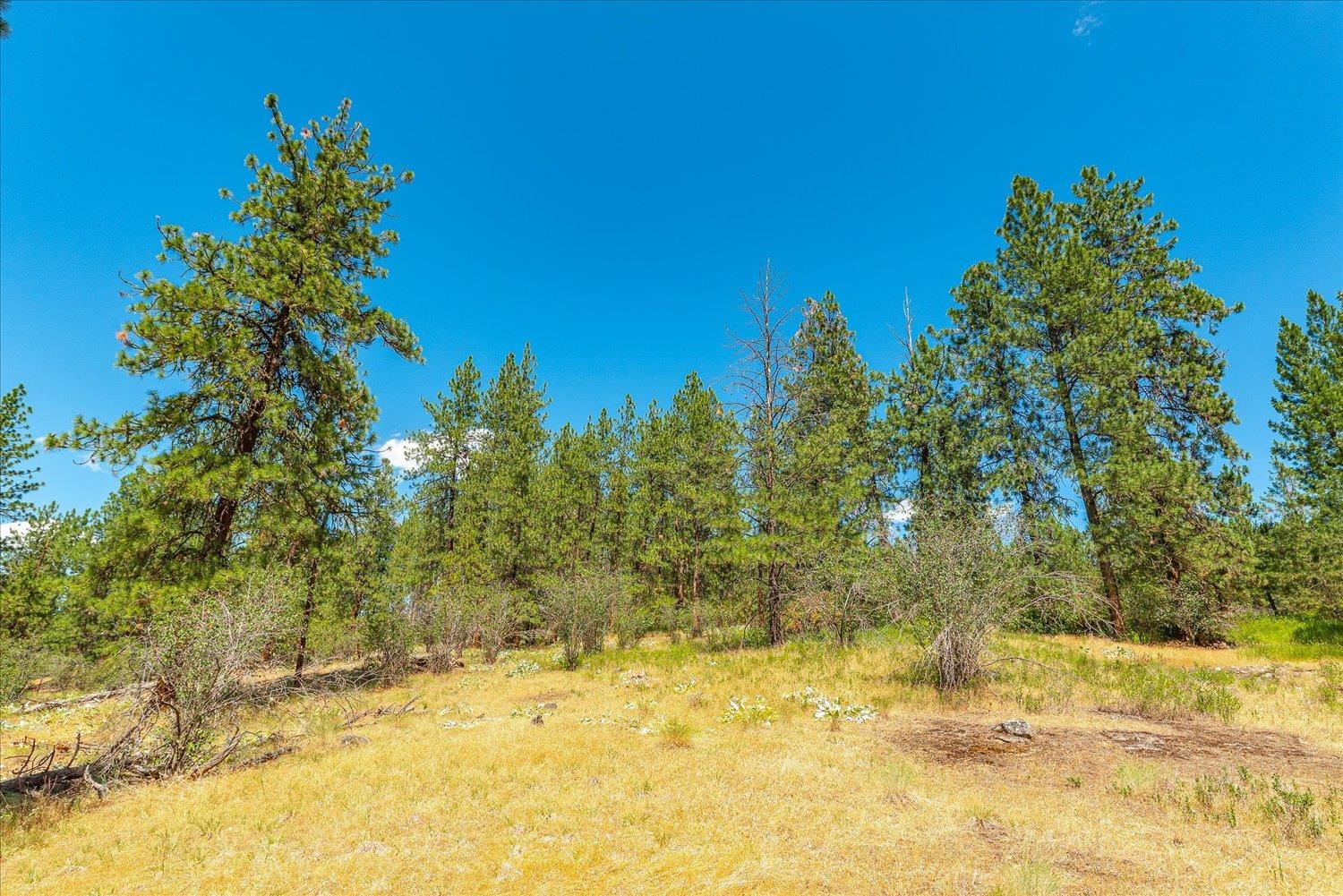 786X Arden Butte Rd - Photo 13