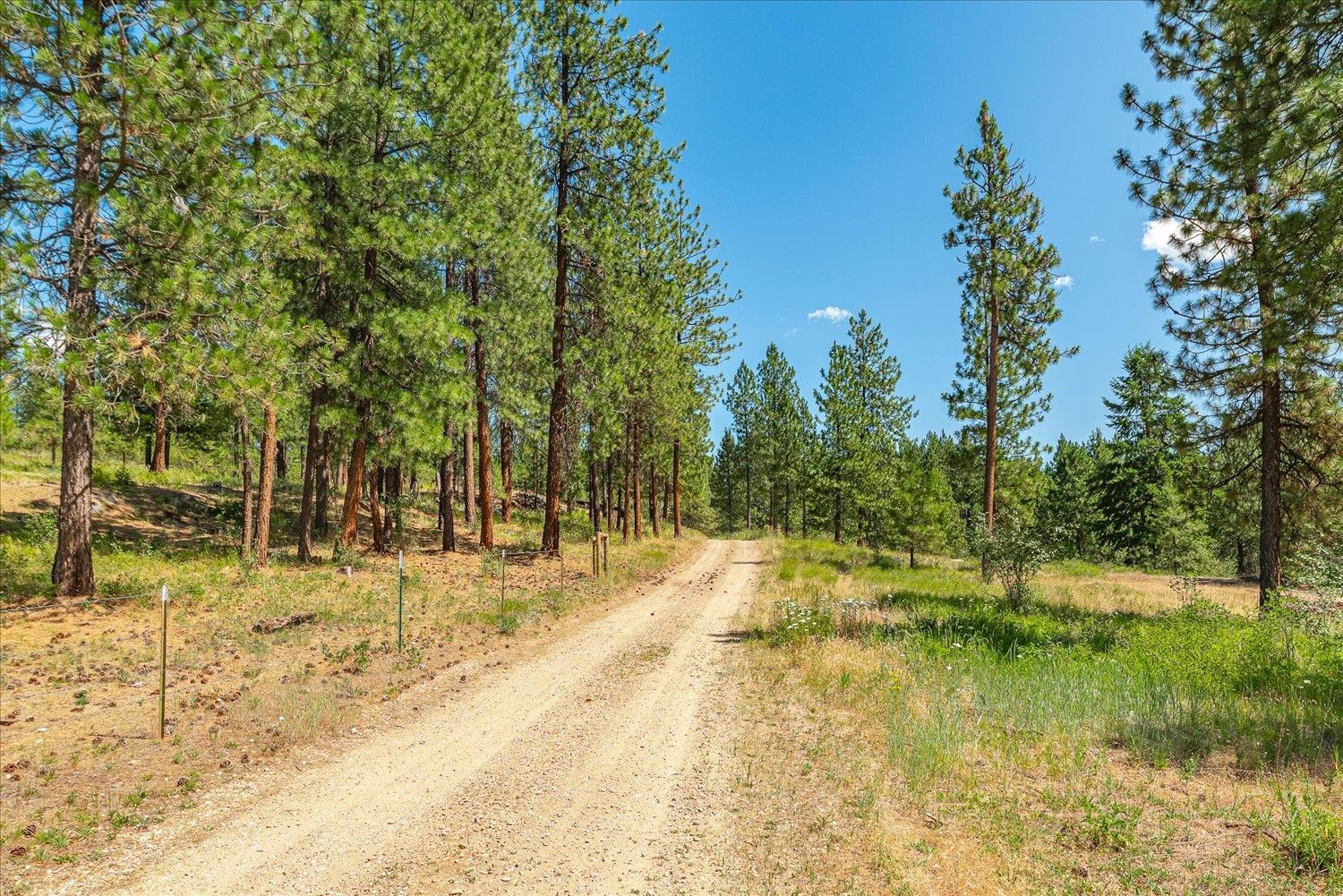 786X Arden Butte Rd - Photo 3