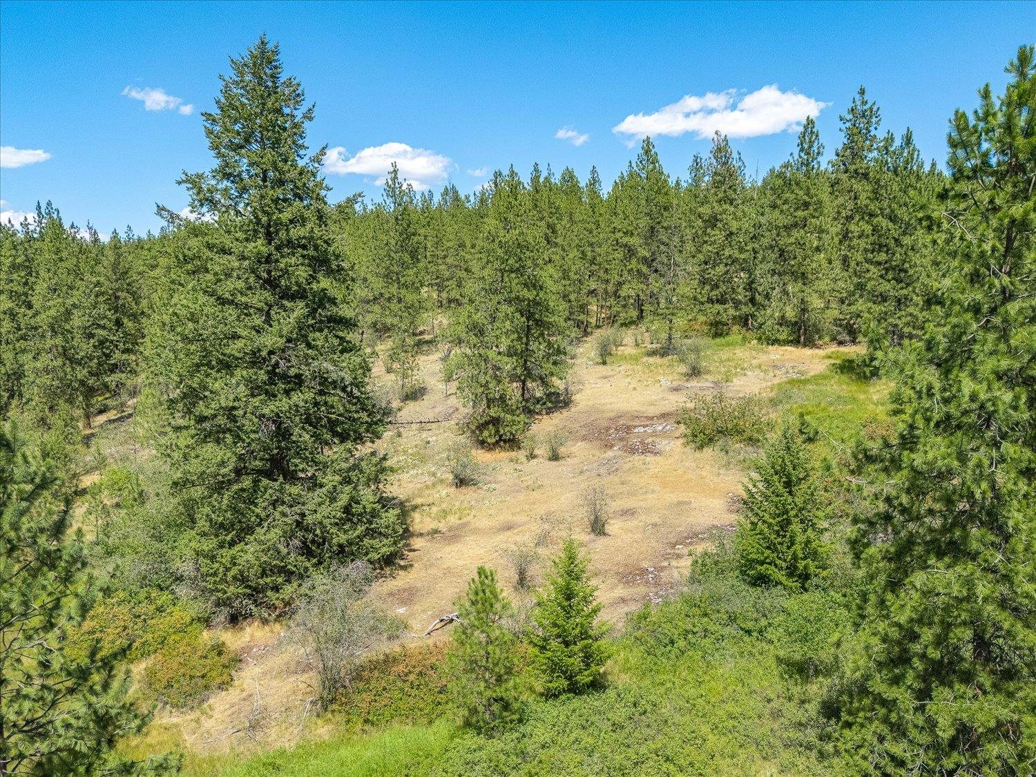 786X Arden Butte Rd - Photo 22