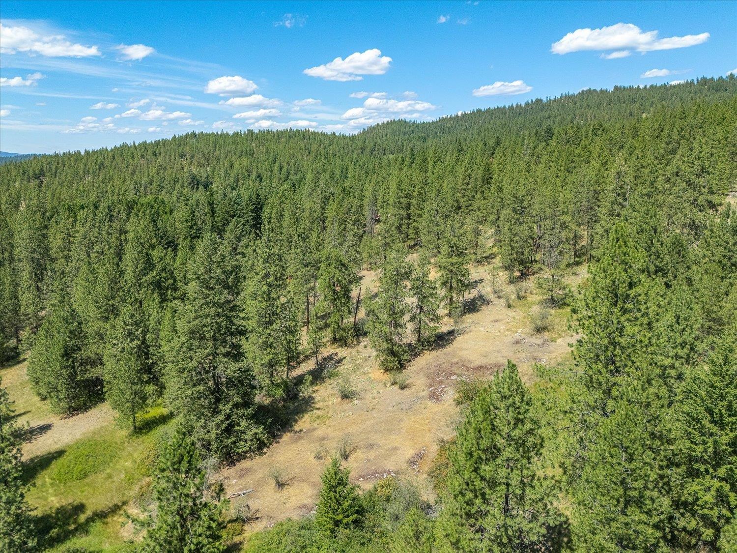 786X Arden Butte Rd - Photo 23
