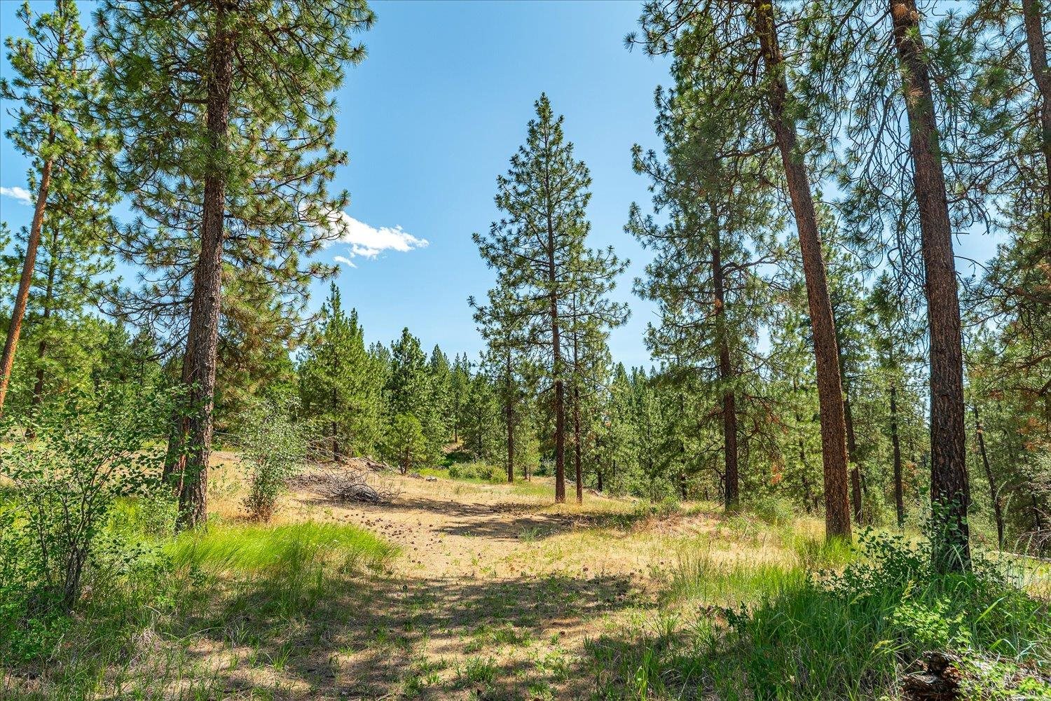 786X Arden Butte Rd - Photo 4