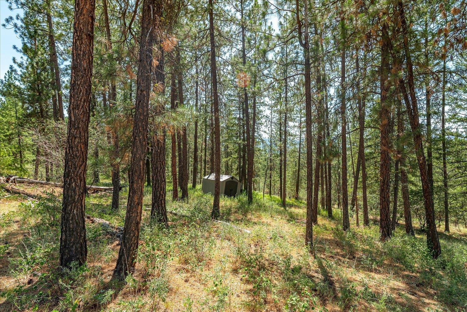 786X Arden Butte Rd - Photo 5