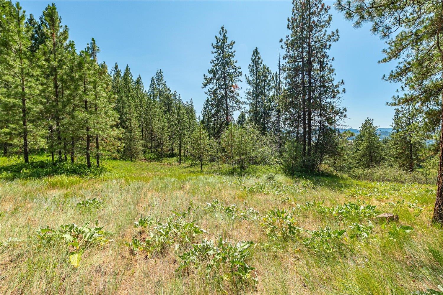 786X Arden Butte Rd - Photo 8