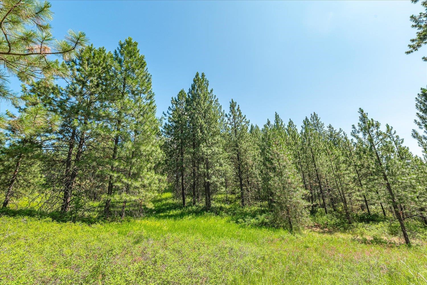 786X Arden Butte Rd - Photo 9
