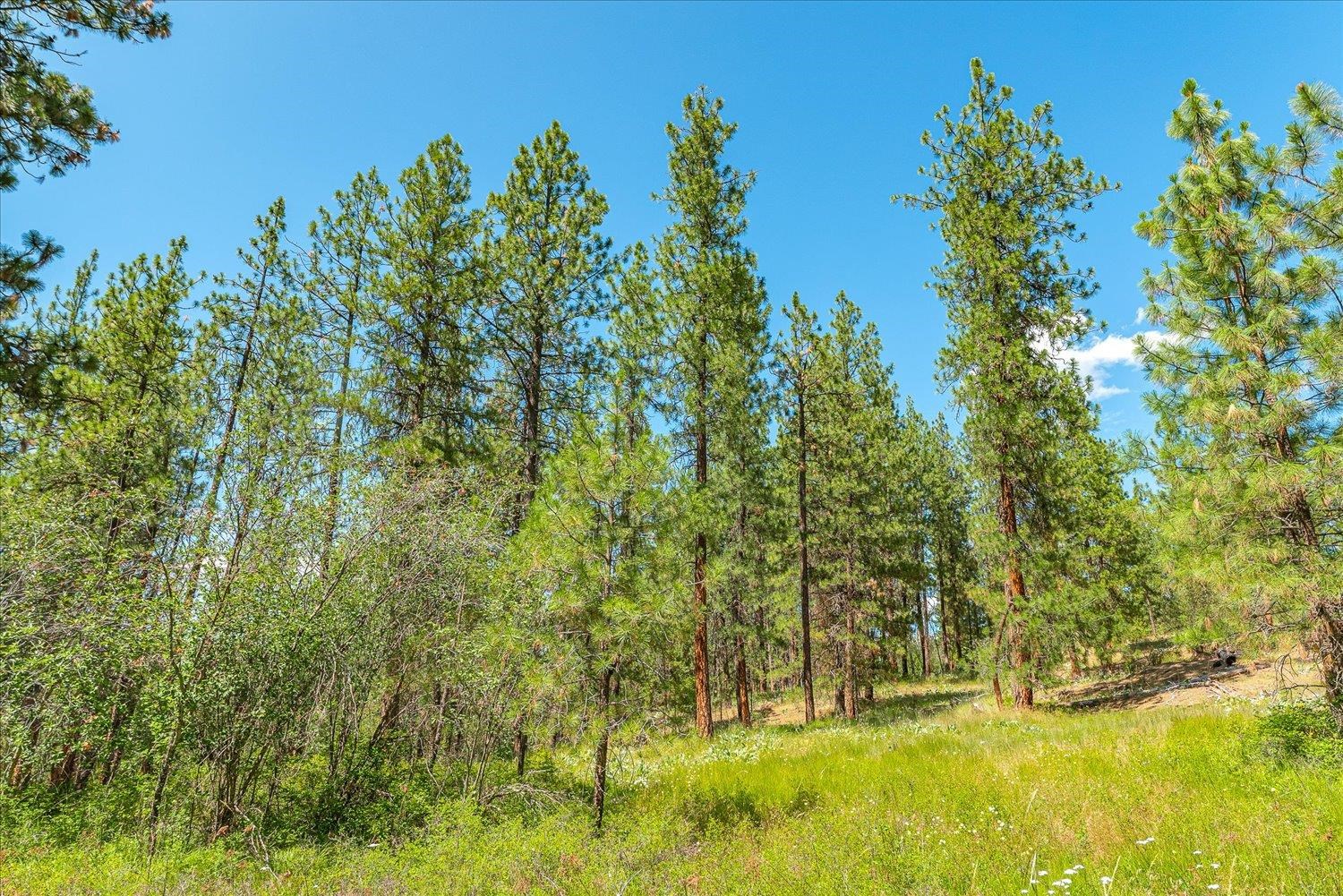 786X Arden Butte Rd - Photo 10