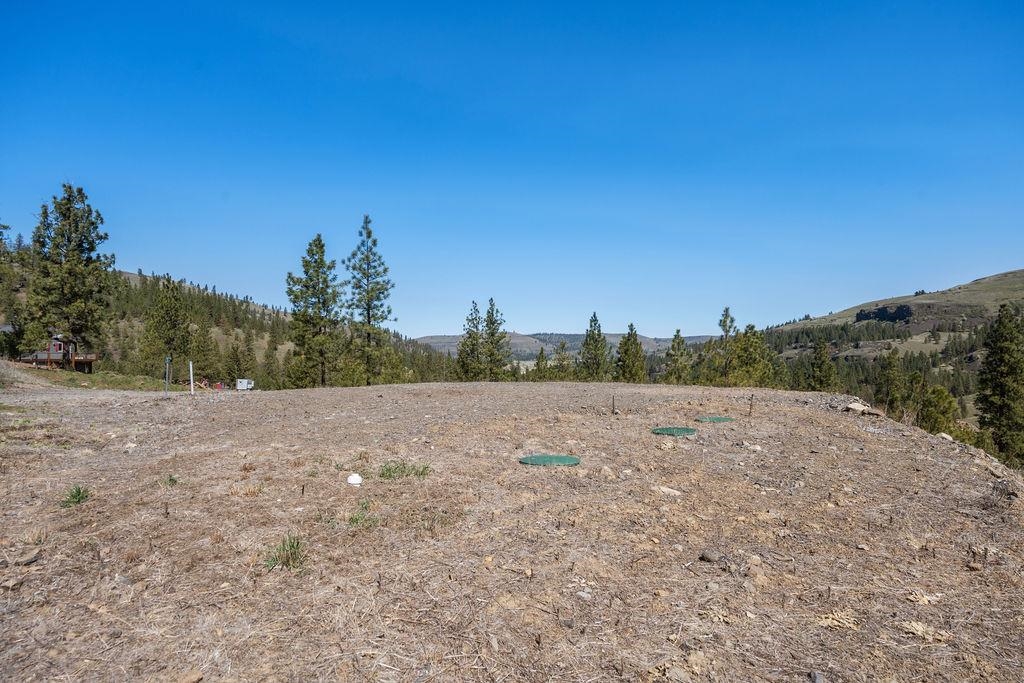 31640 Ringneck Ln E - Photo 26
