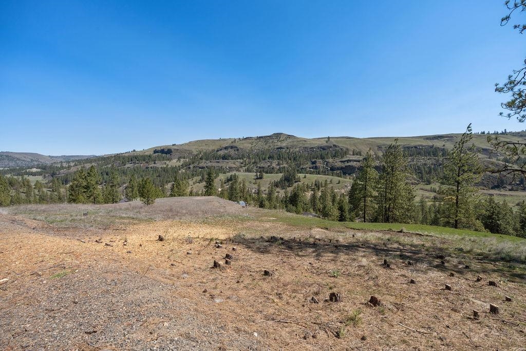 31640 Ringneck Ln E - Photo 27