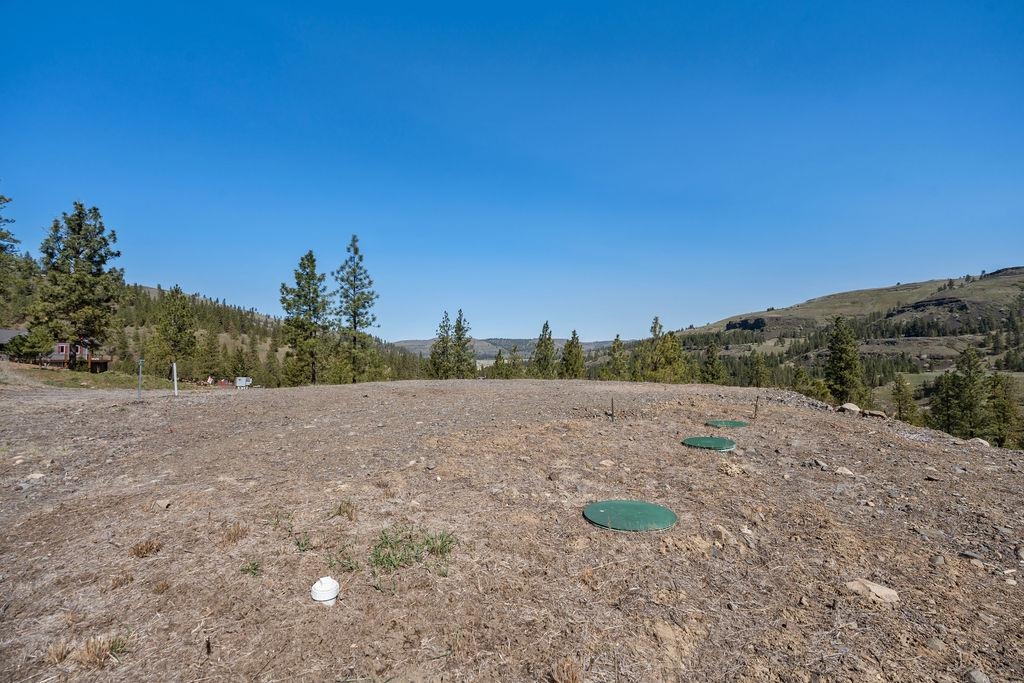 31640 Ringneck Ln E - Photo 29