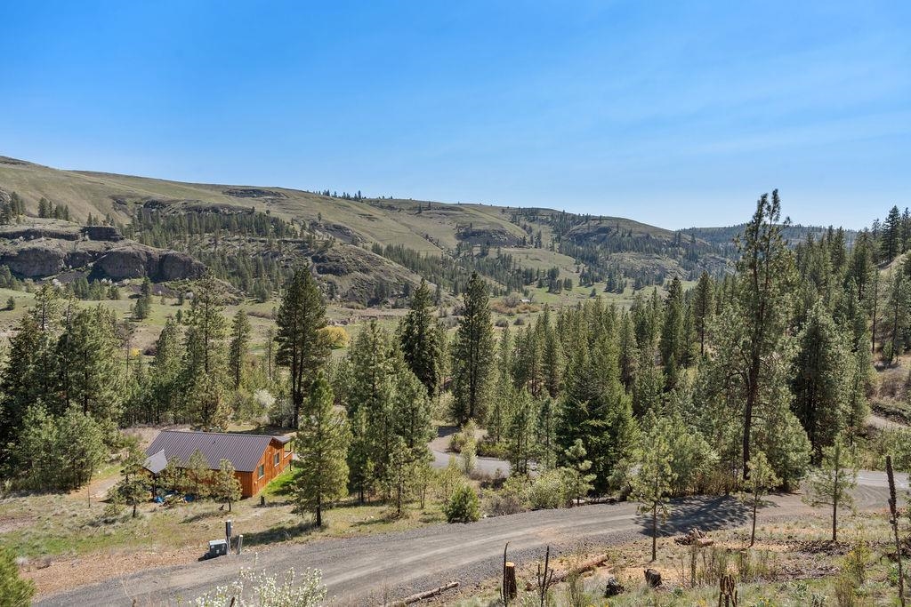 31640 Ringneck Ln E - Photo 30