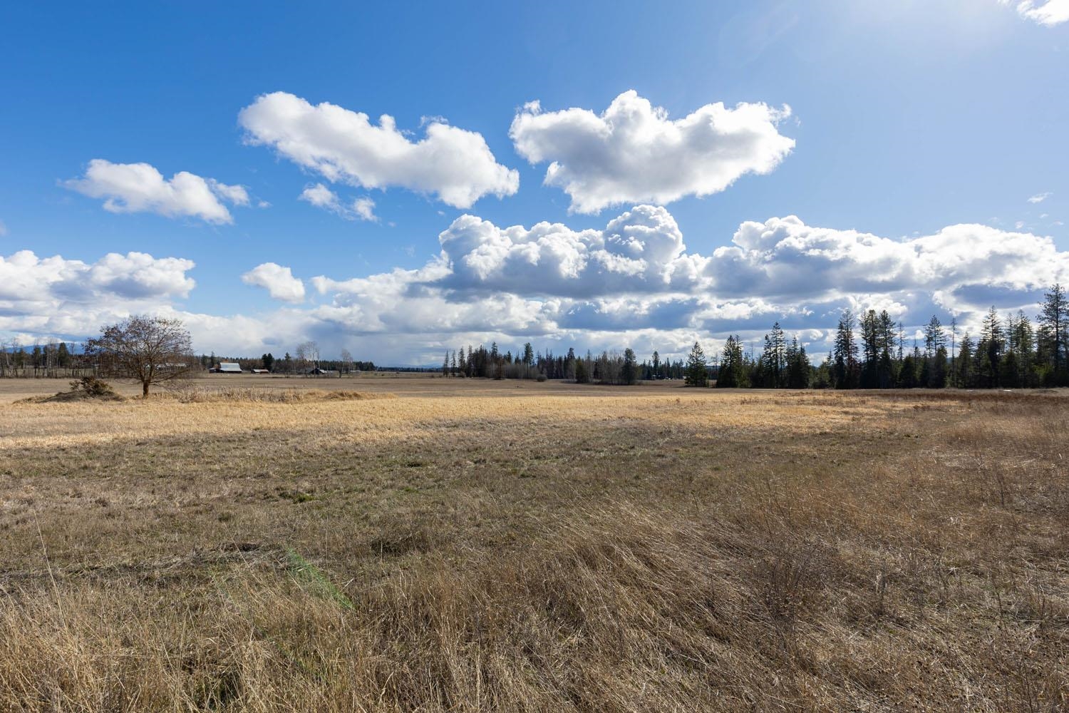 4781 W Gibson Dahl Rd - Photo 2