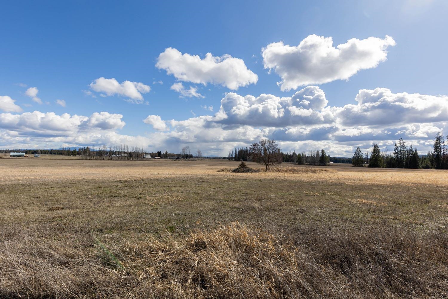4781 W Gibson Dahl Rd - Photo 6