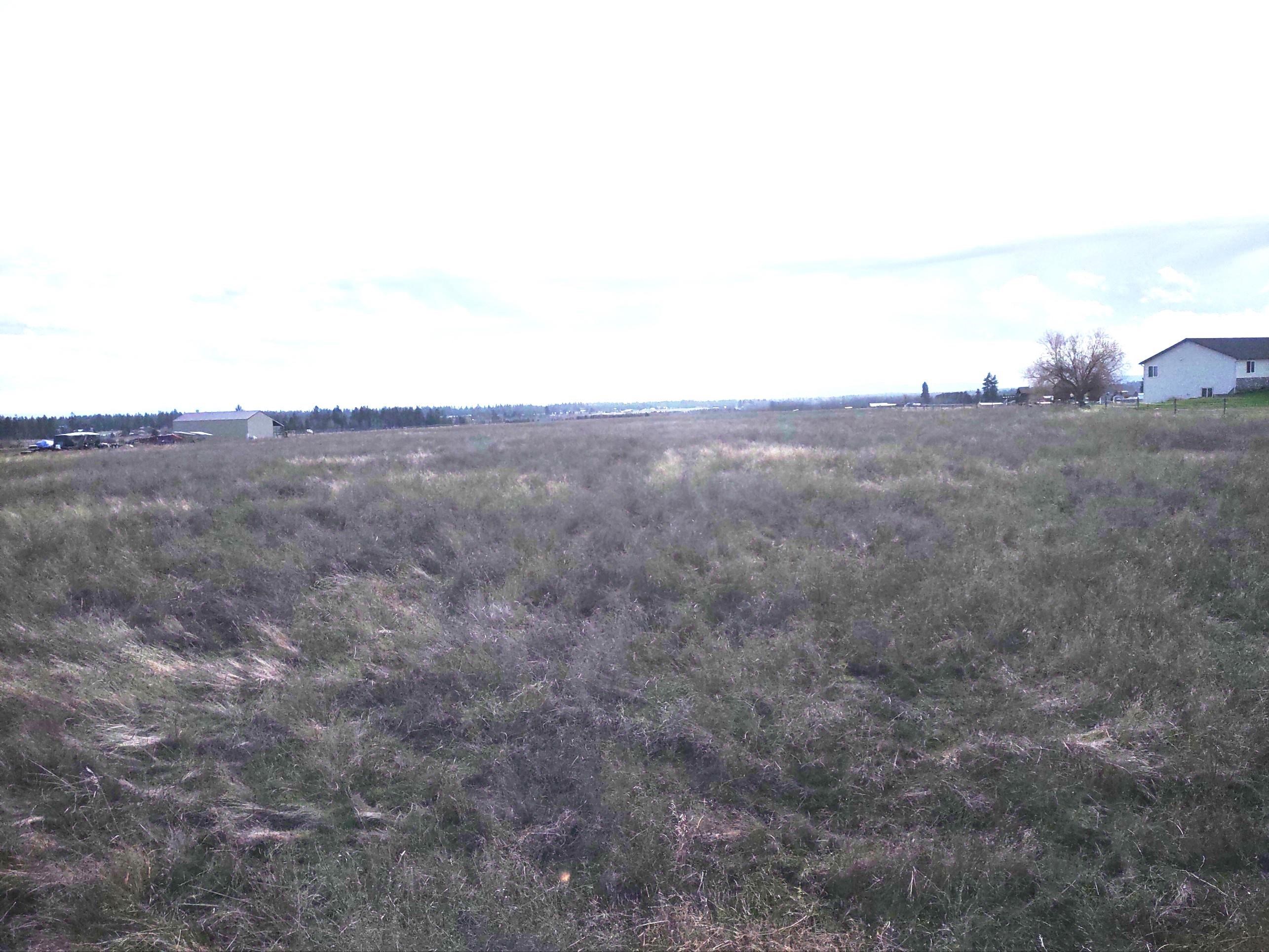 xx Mason Rd - Photo 3