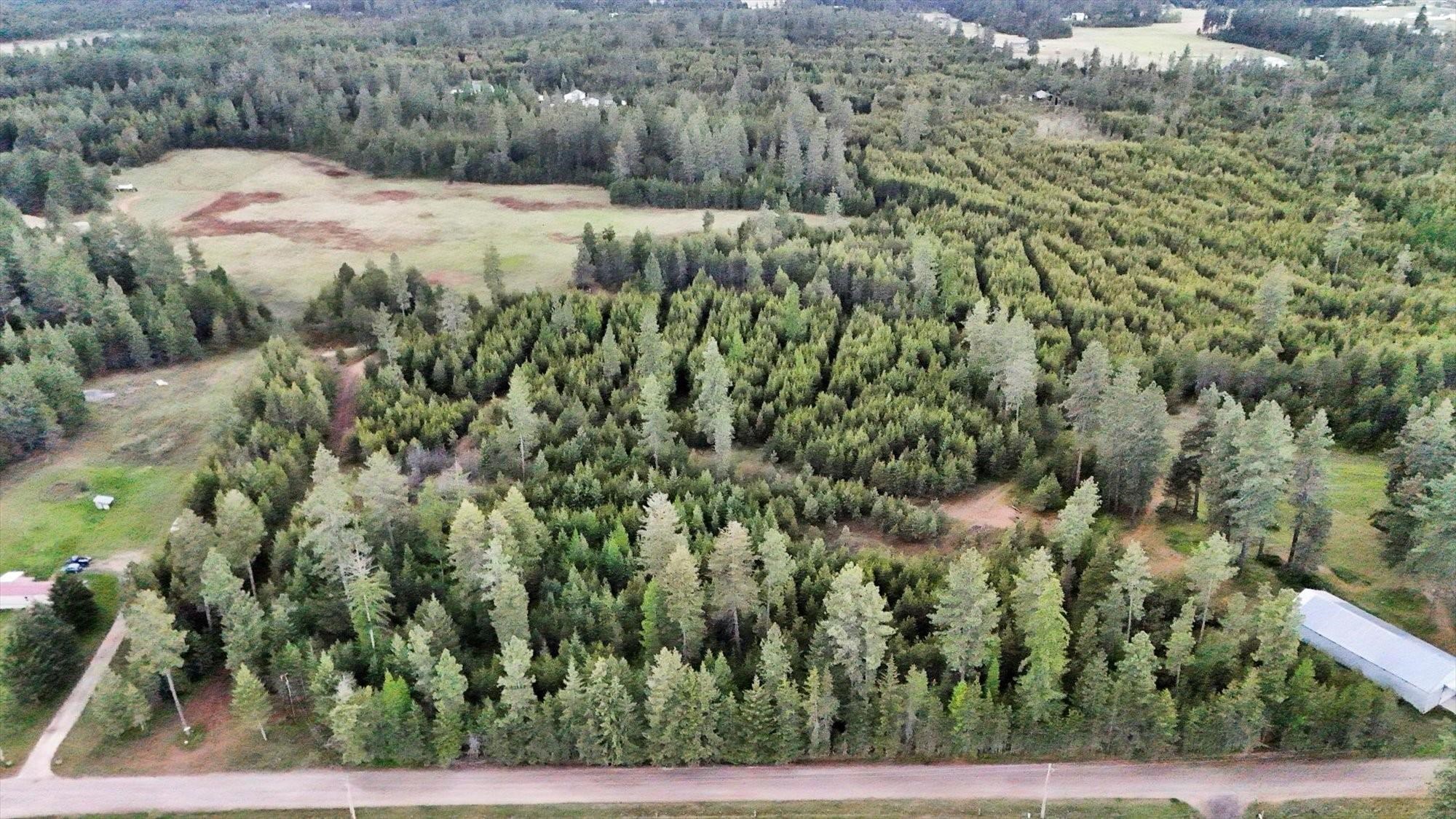 XXXX W Mason Rd - Photo 19