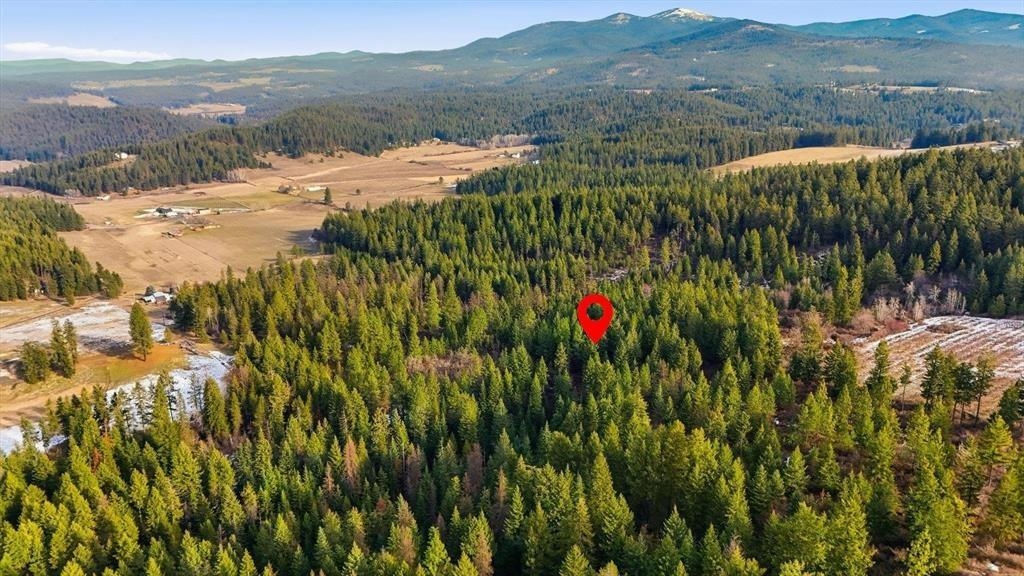XXXXX Wildcat Ridge - Photo 21