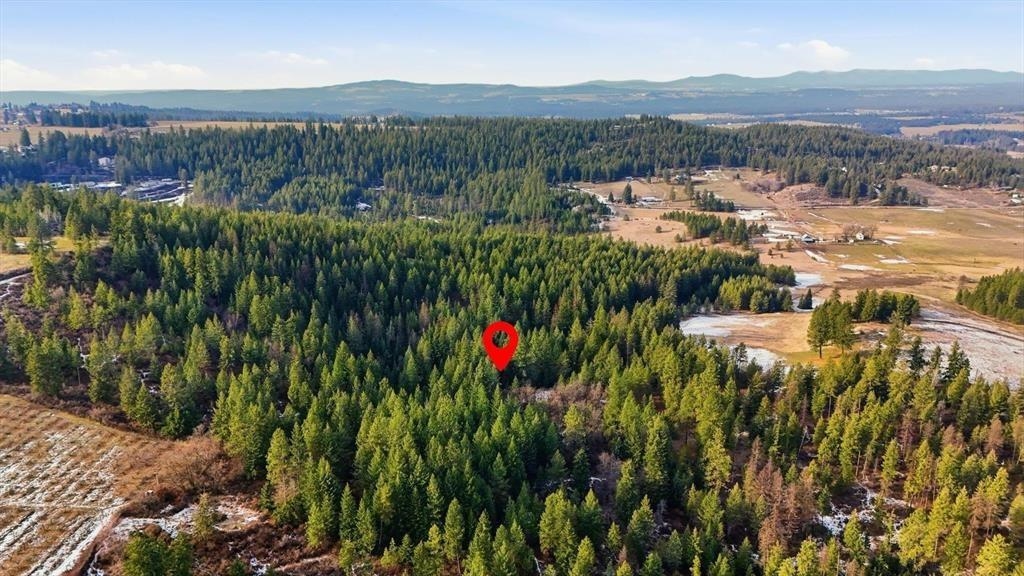 XXXXX Wildcat Ridge - Photo 22