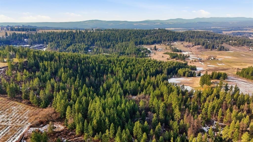 XXXXX Wildcat Ridge - Photo 23