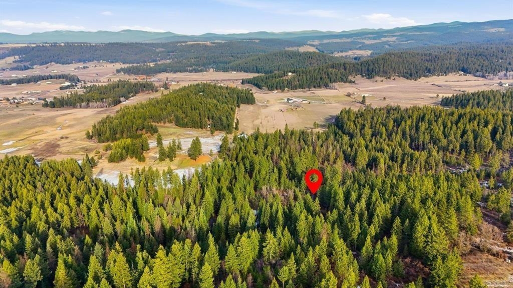 XXXXX Wildcat Ridge - Photo 33