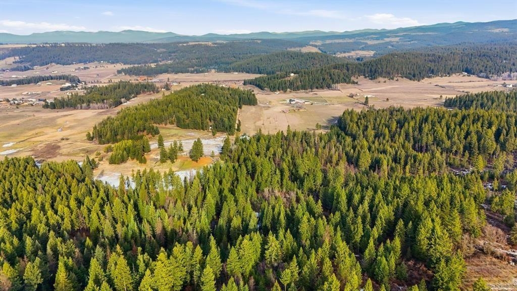 XXXXX Wildcat Ridge - Photo 34