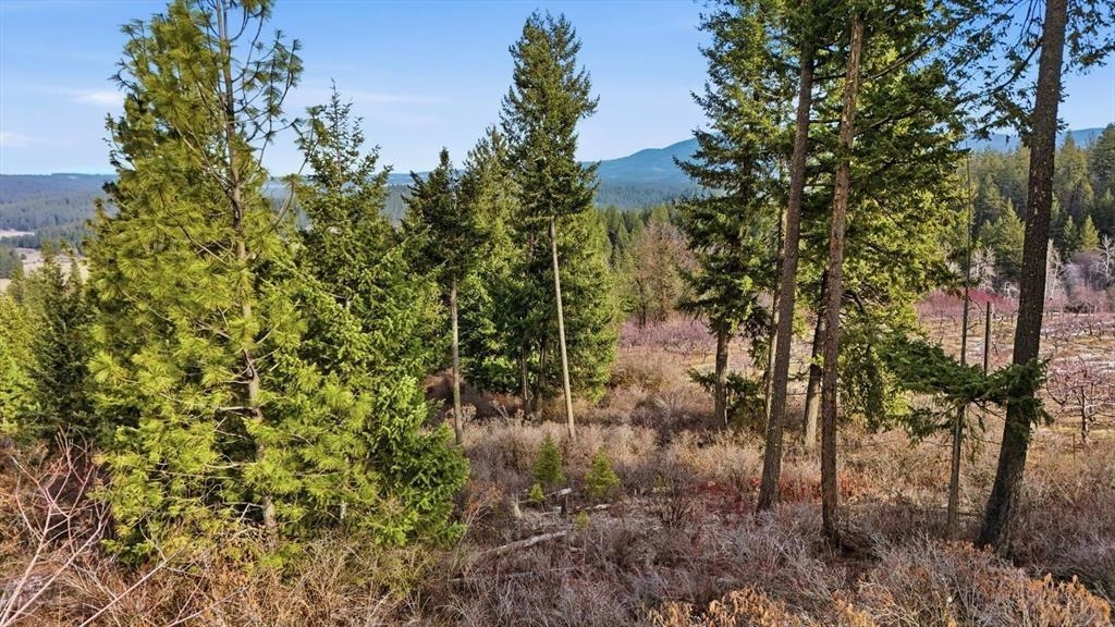 XXXXX Wildcat Ridge - Photo 37