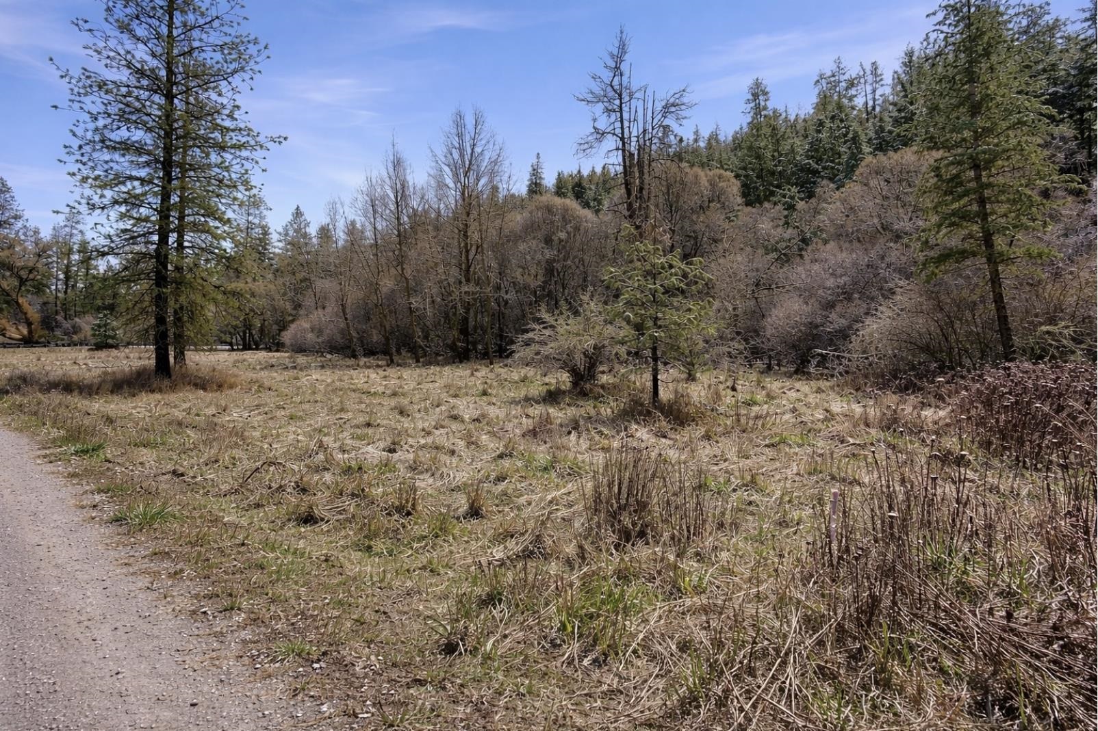 2126 E Leona Dr - Photo 12