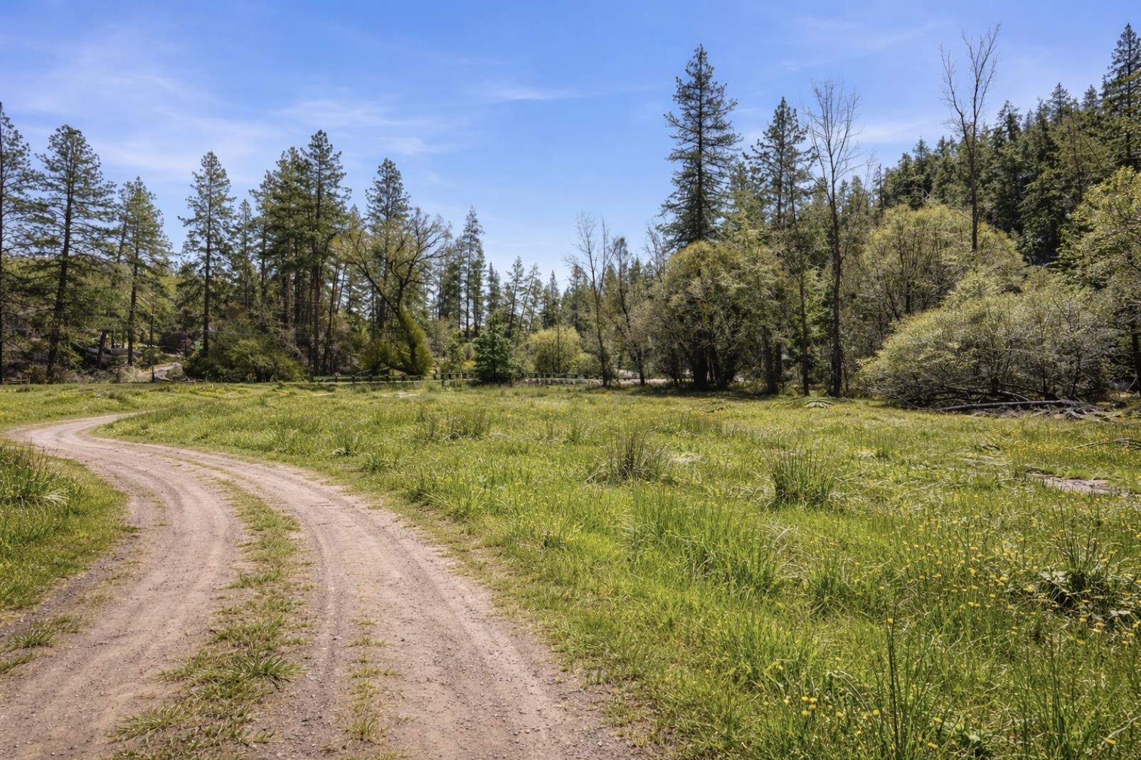 2126 E Leona Dr - Photo 8