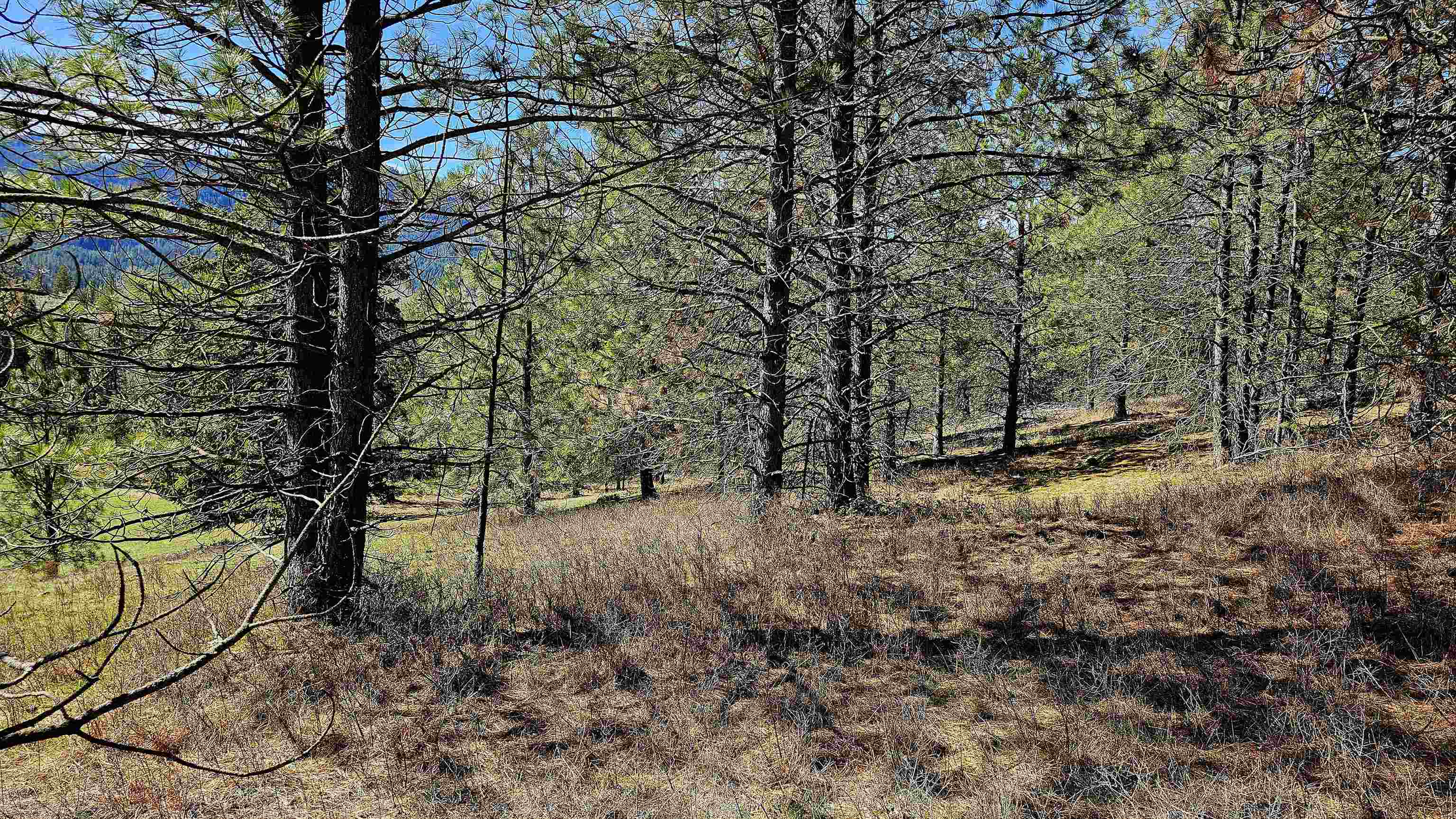 2068 Addy-Gifford Rd - Photo 3