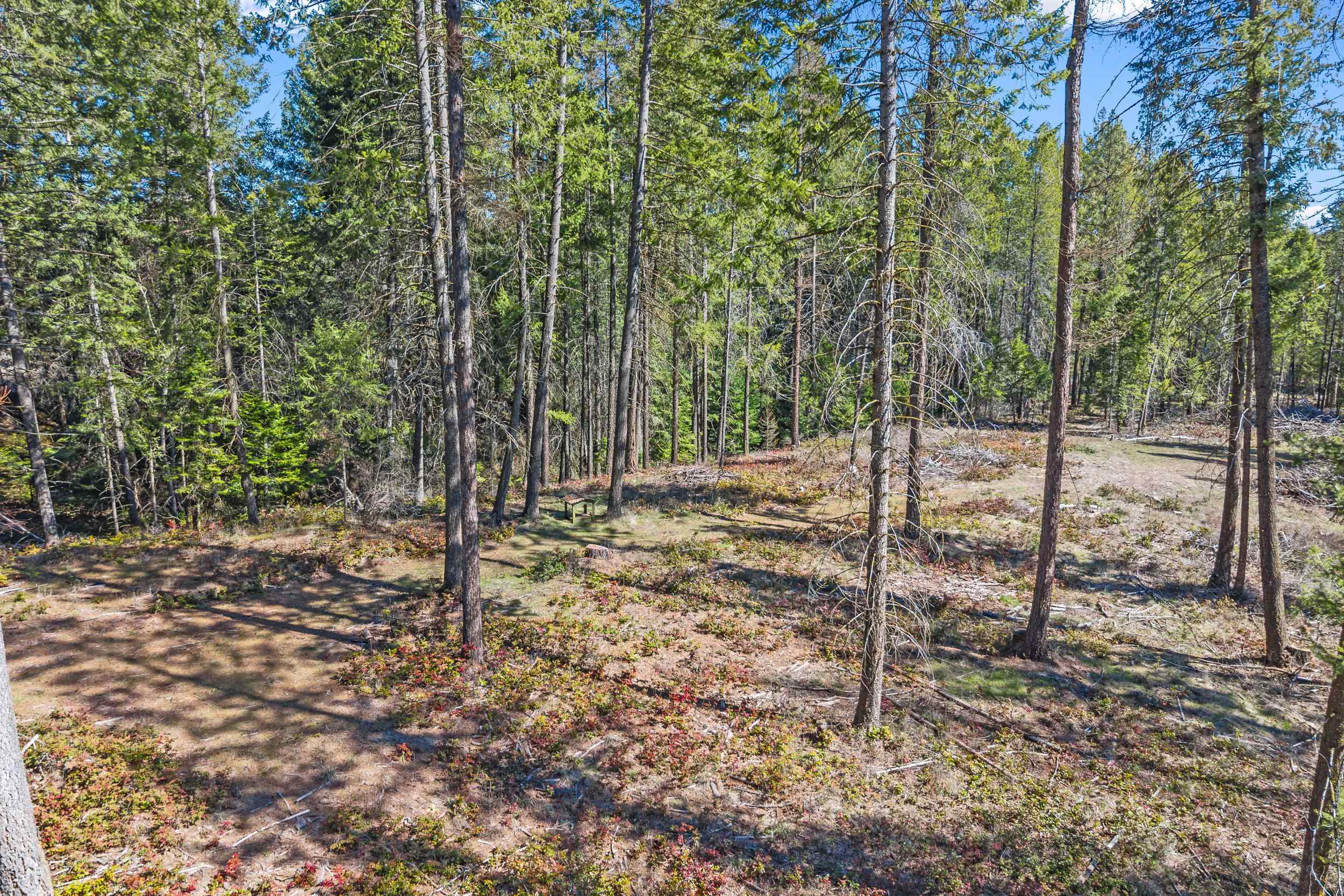 2068 Addy-Gifford Rd - Photo 34