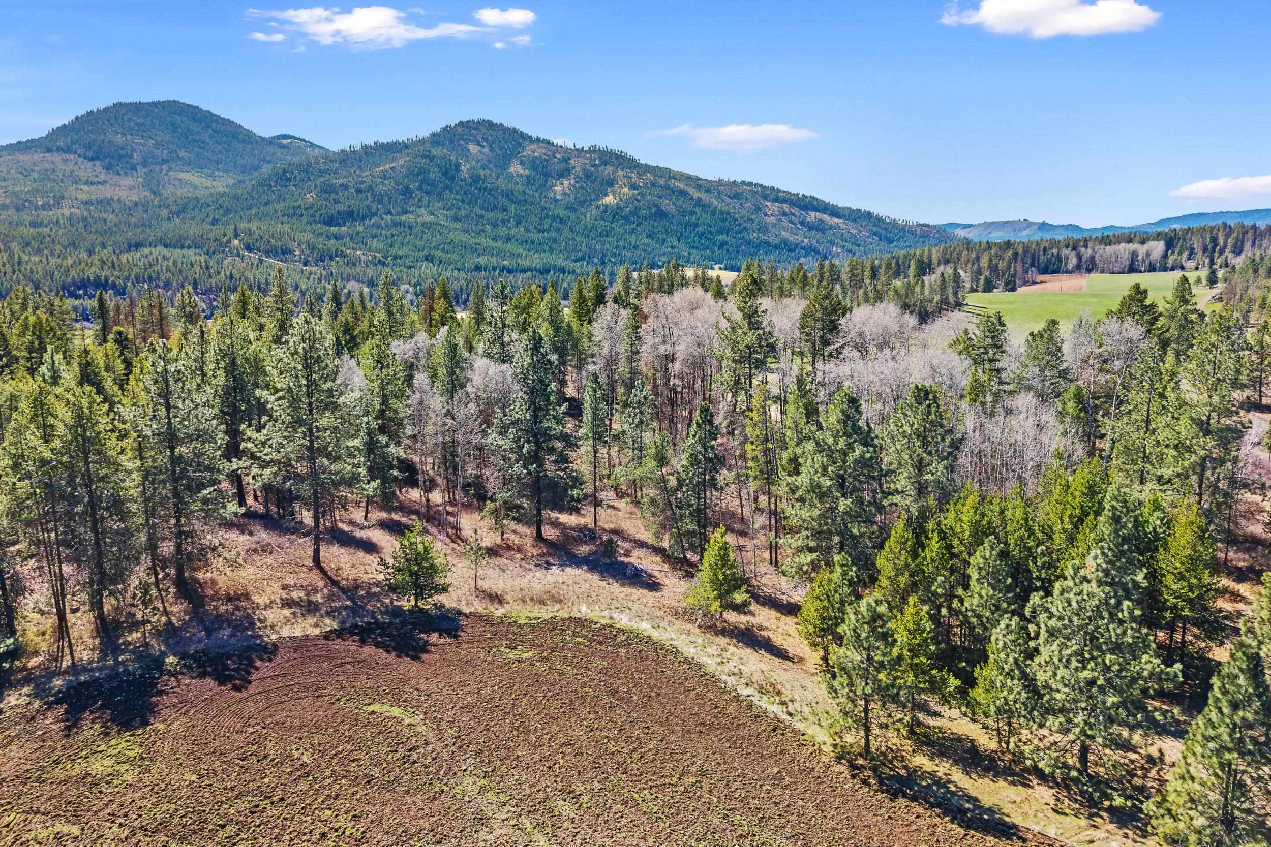 2068 Addy-Gifford Rd - Photo 40