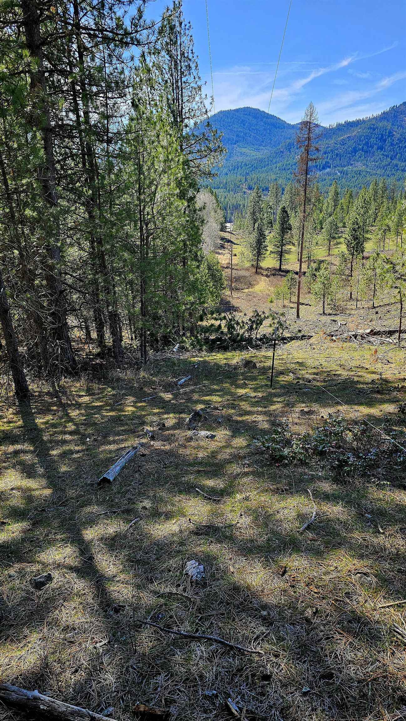 2068 Addy-Gifford Rd - Photo 5