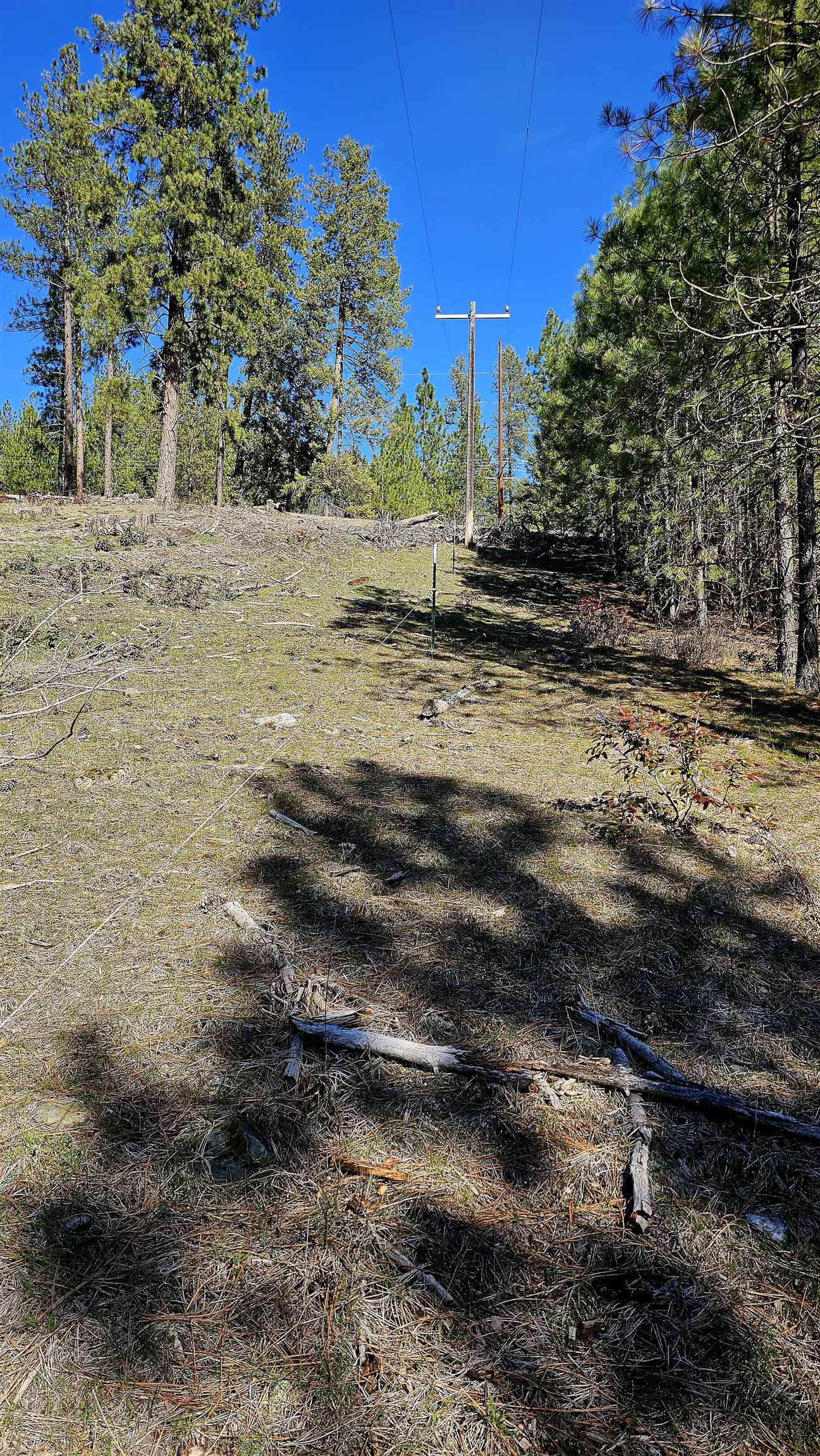 2068 Addy-Gifford Rd - Photo 6