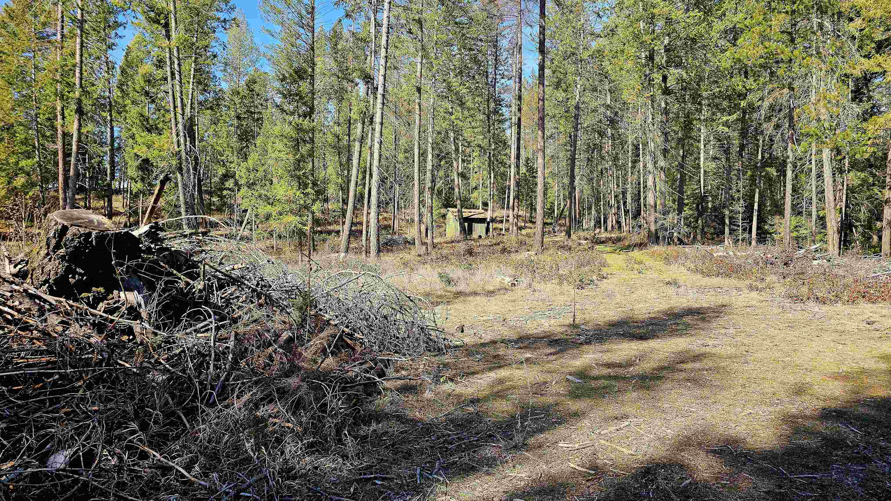 2068 Addy-Gifford Rd - Photo 10