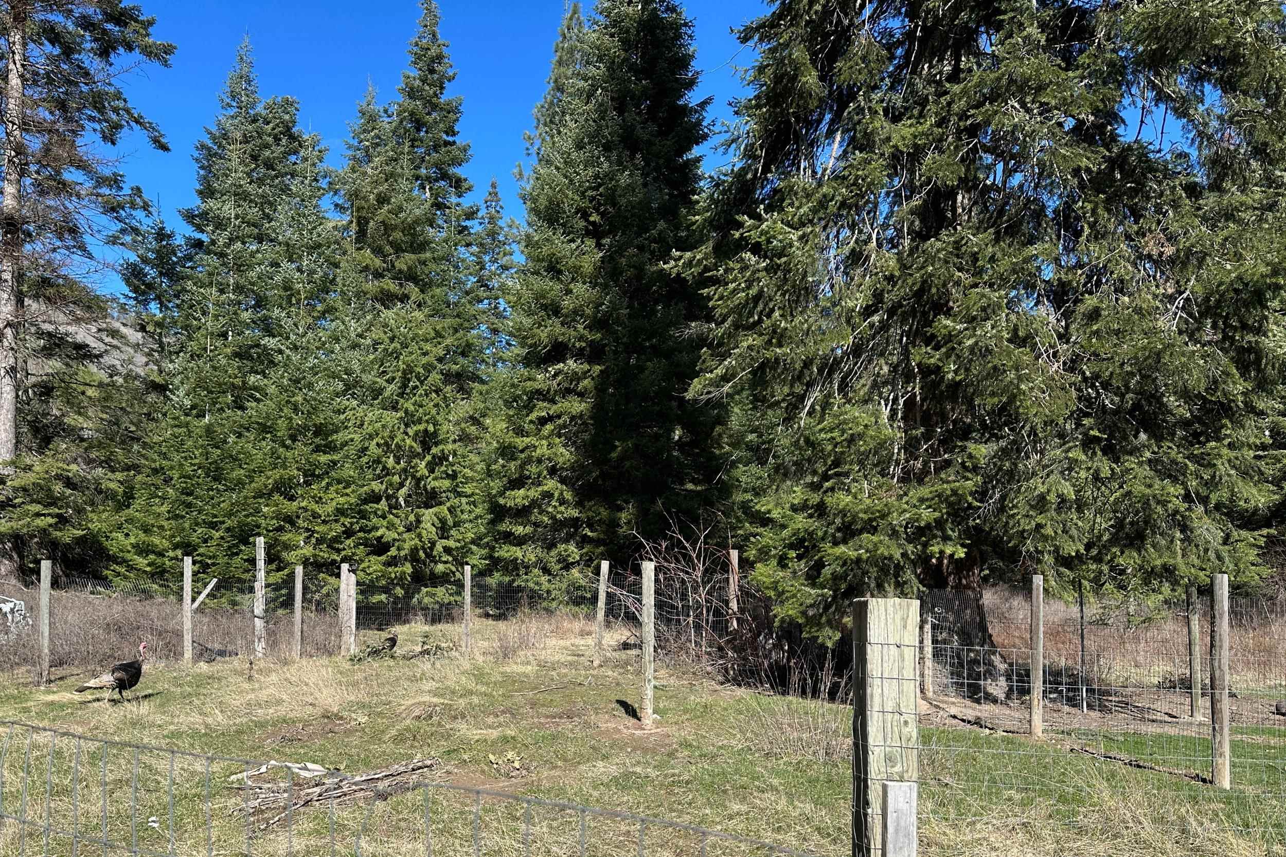 4143 North Deer Lake Rd - Photo 14