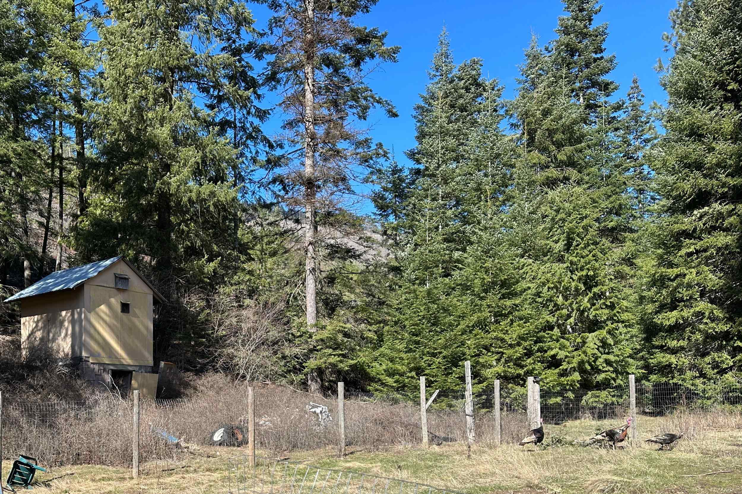 4143 North Deer Lake Rd - Photo 15