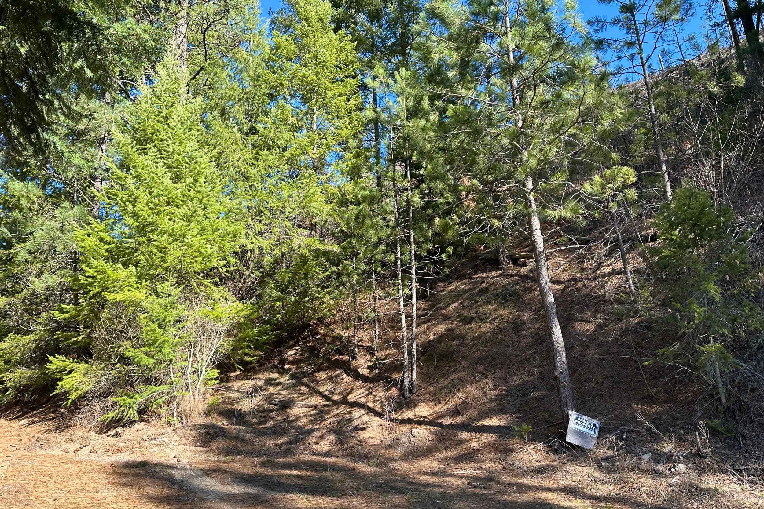 4143 North Deer Lake Rd - Photo 3