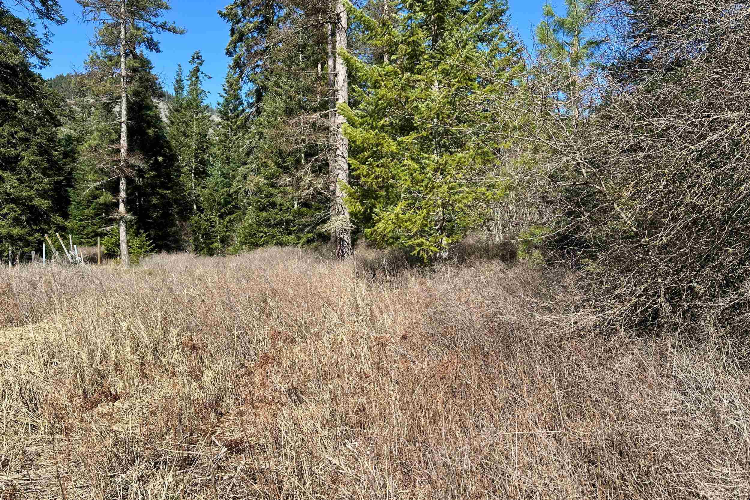 4143 North Deer Lake Rd - Photo 32
