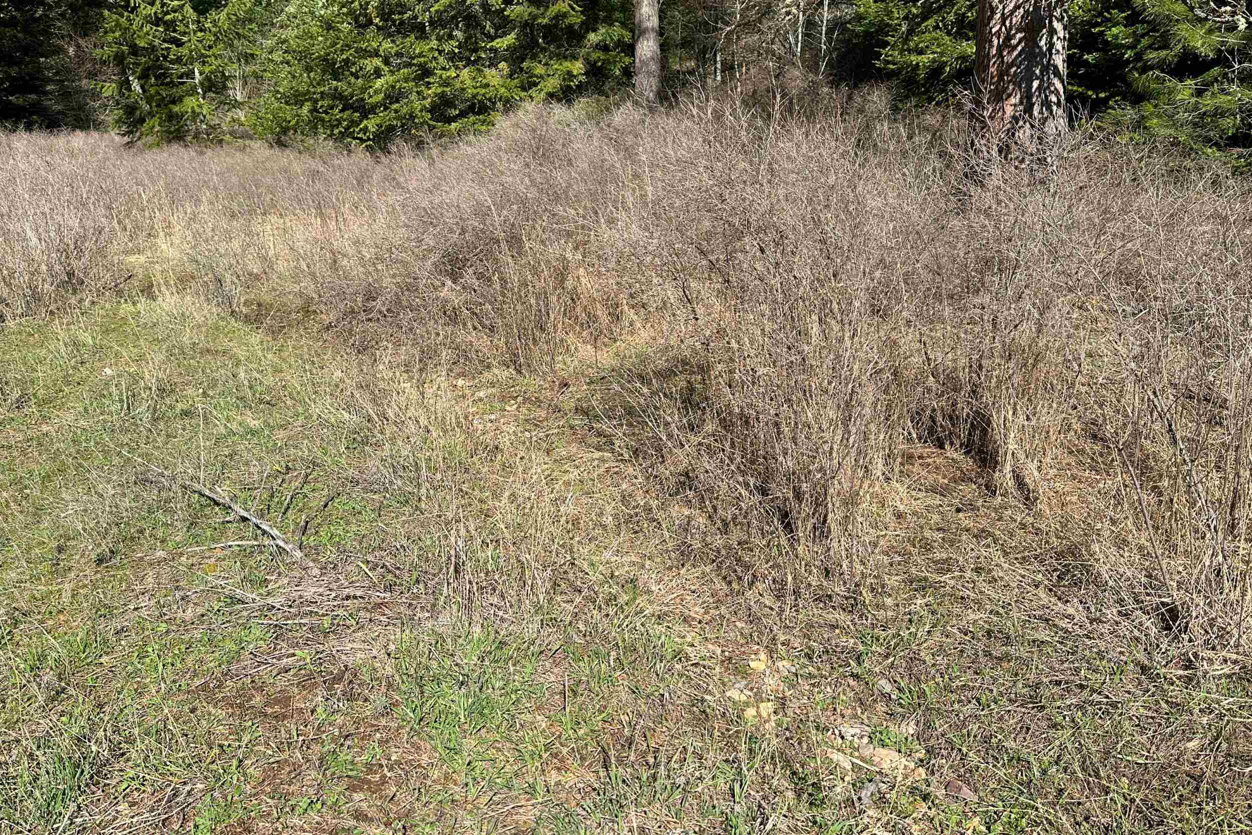 4143 North Deer Lake Rd - Photo 34
