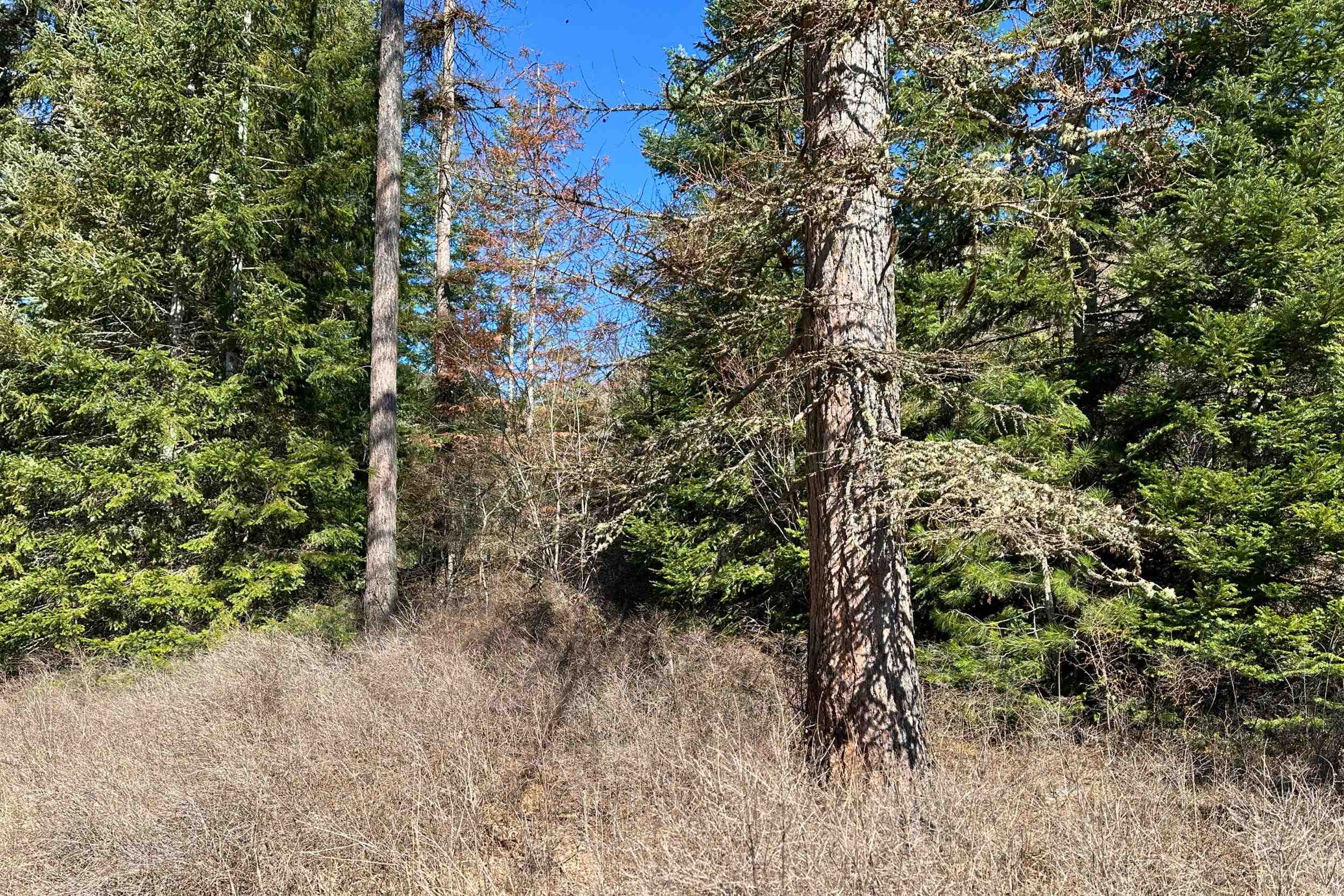 4143 North Deer Lake Rd - Photo 35