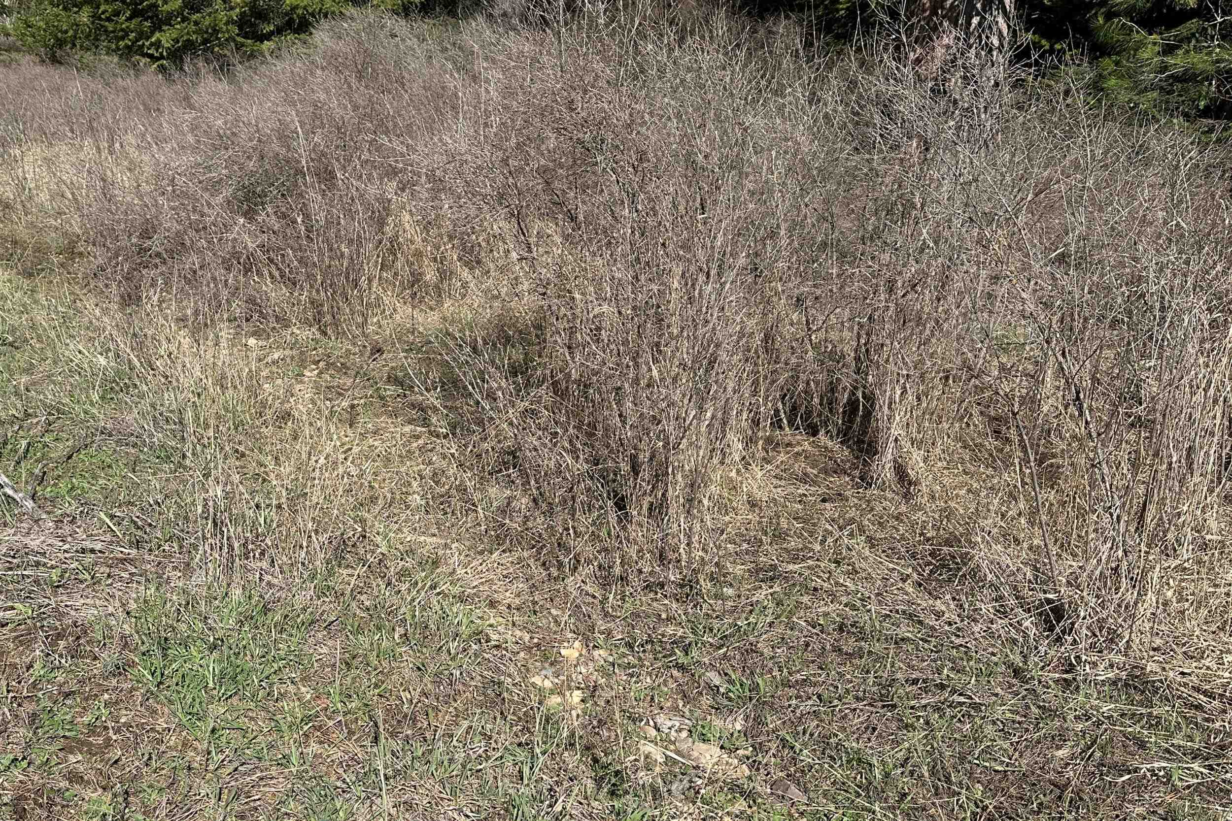 4143 North Deer Lake Rd - Photo 36