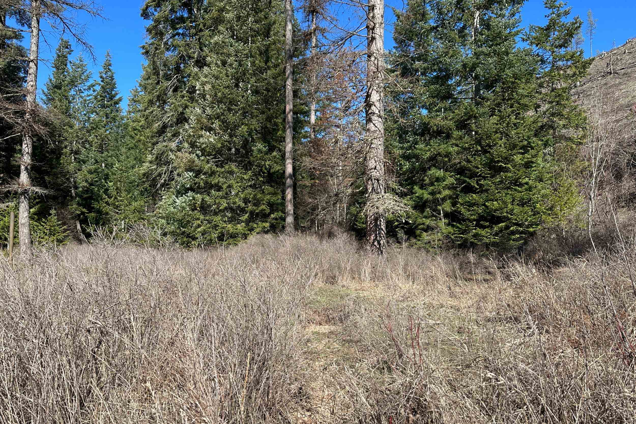 4143 North Deer Lake Rd - Photo 37