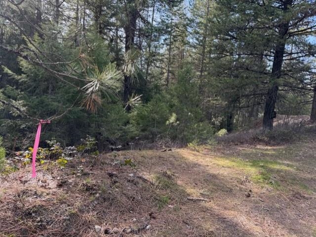 1321 Southshore Diamond Lake Rd - Photo 47