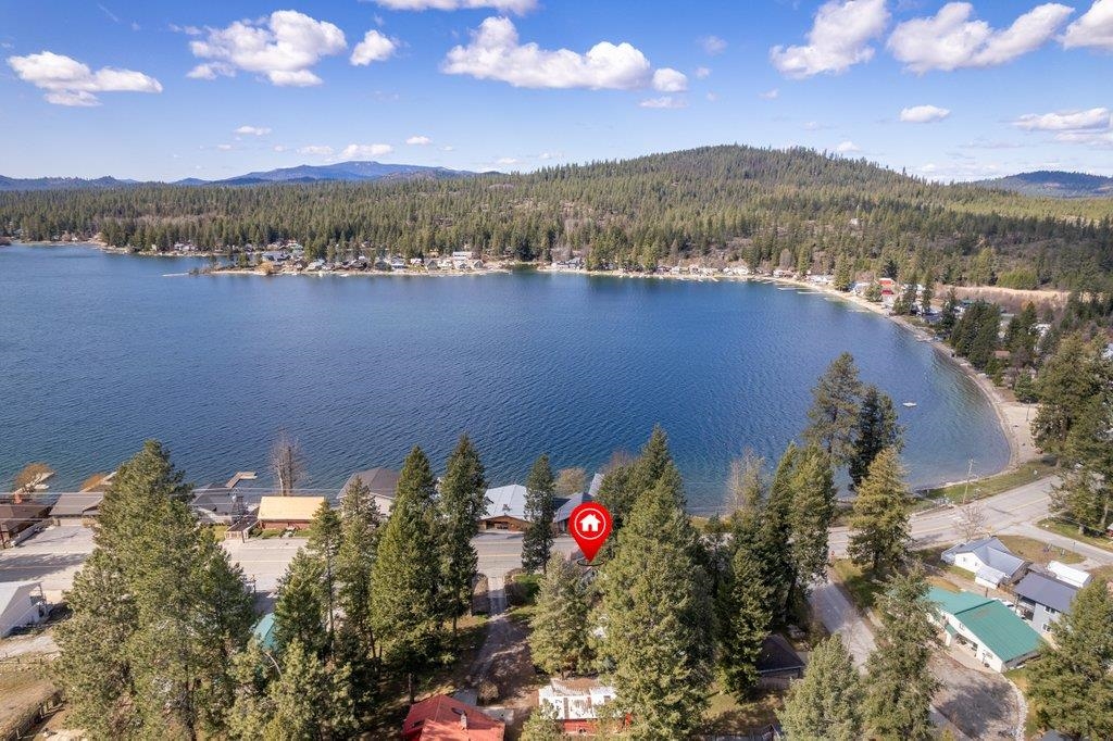 1321 Southshore Diamond Lake Rd - Photo 6