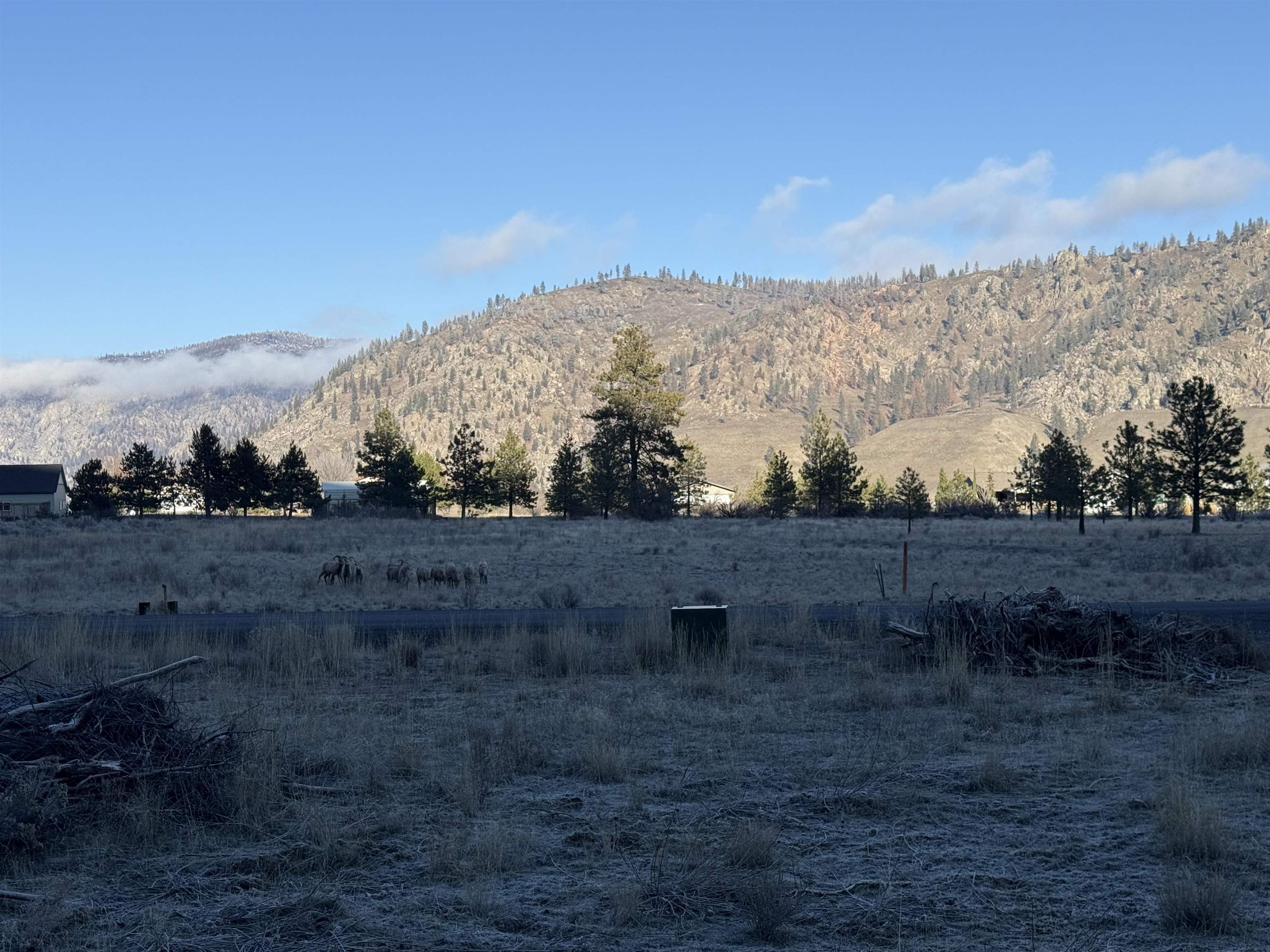 39135 N Sterling Valley Rd - Photo 12