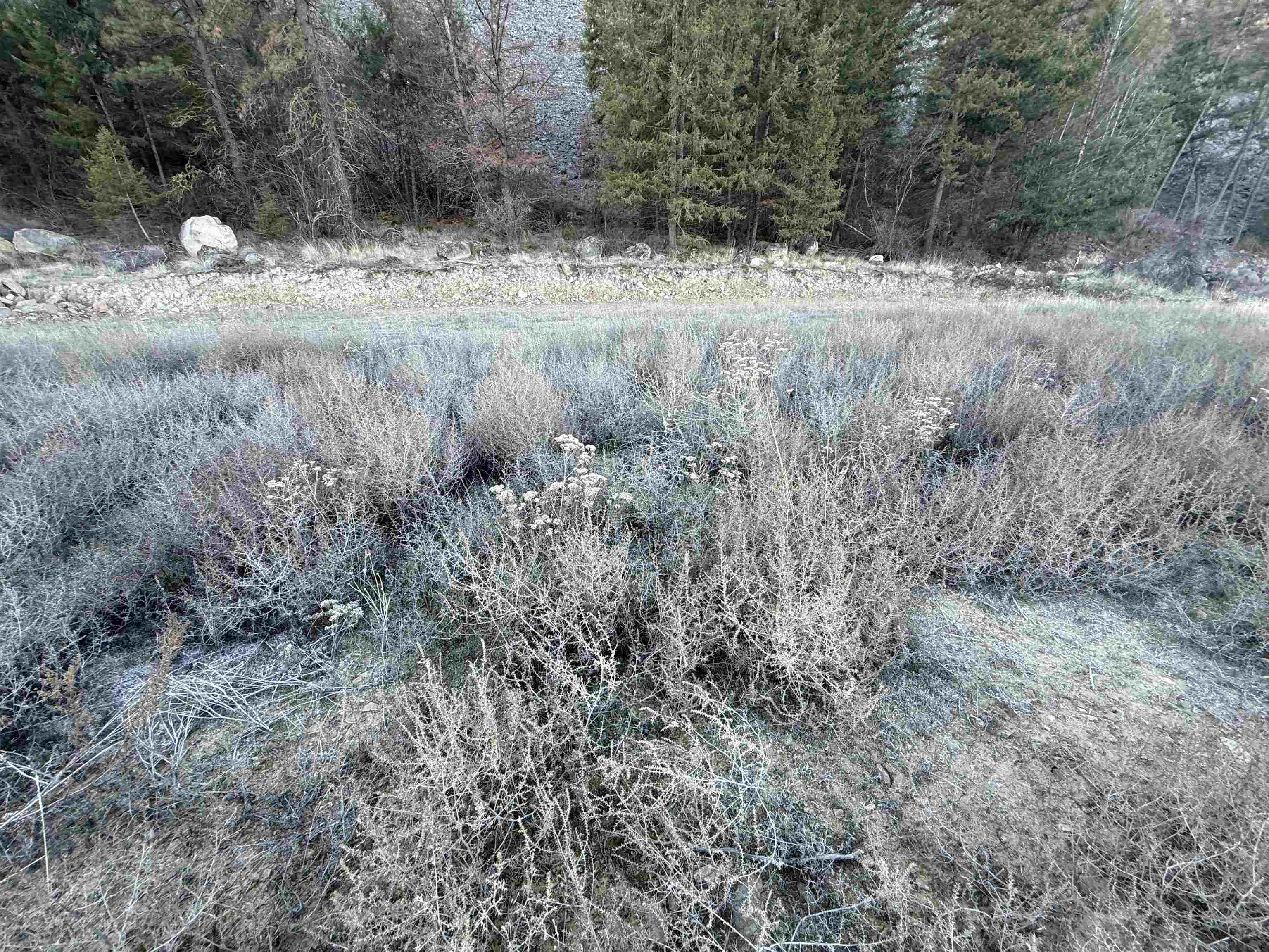 39135 N Sterling Valley Rd - Photo 14