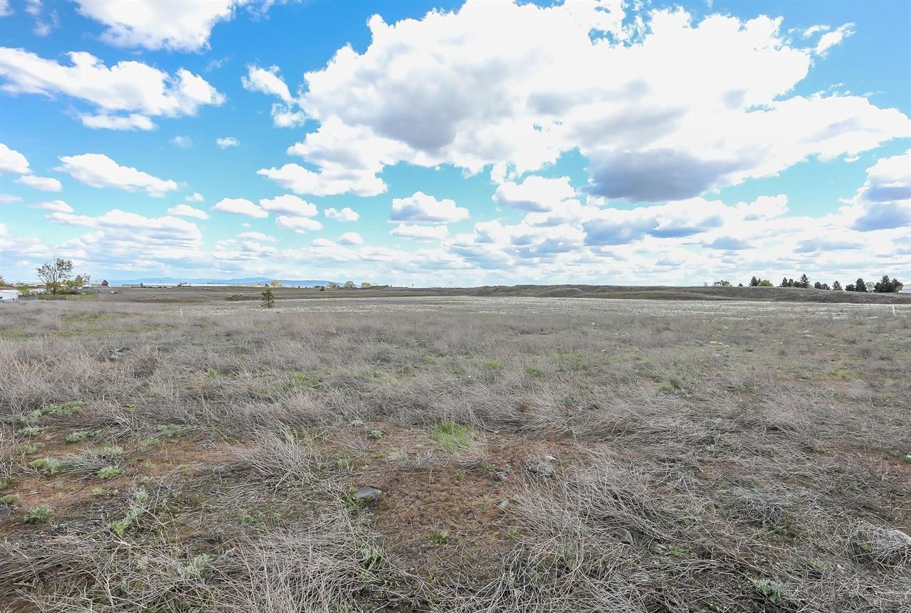 17XX S Craig Rd - Photo 5