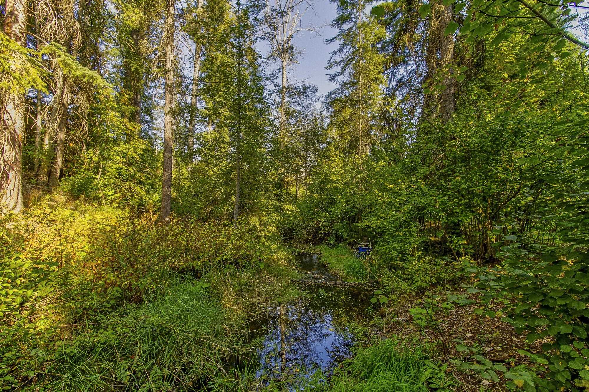 3829 Deep Lake Boundary Rd - Photo 38