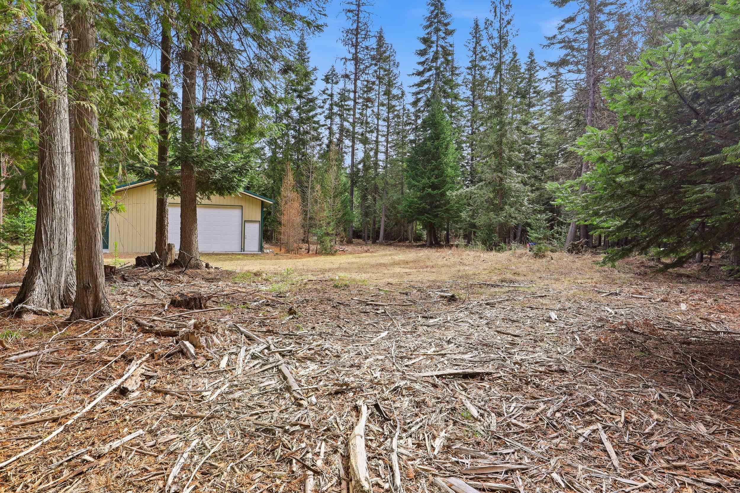 119 Gray Eagle Ln - Photo 13