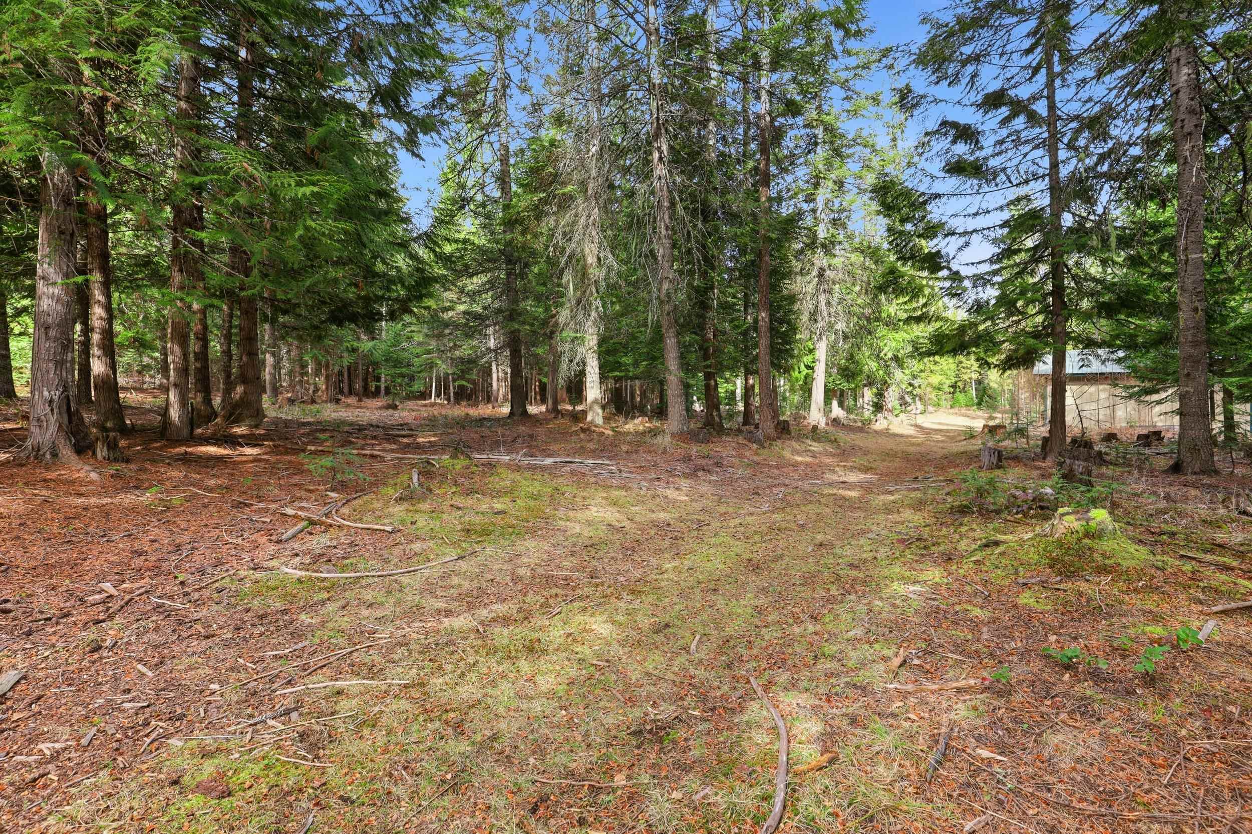 119 Gray Eagle Ln - Photo 14